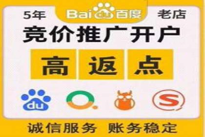 谷歌SEM案例研究：数据分析与效果评估